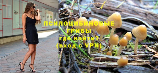 прущие крисы Абинск