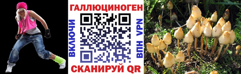 Галлюциногенные грибы мицелий  магазин  наркотиков  кракен ссылки  Куртамыш 